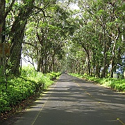 Picture 003